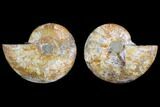 Agatized Ammonite Fossil - Crystal Filled Chambers #145817-1